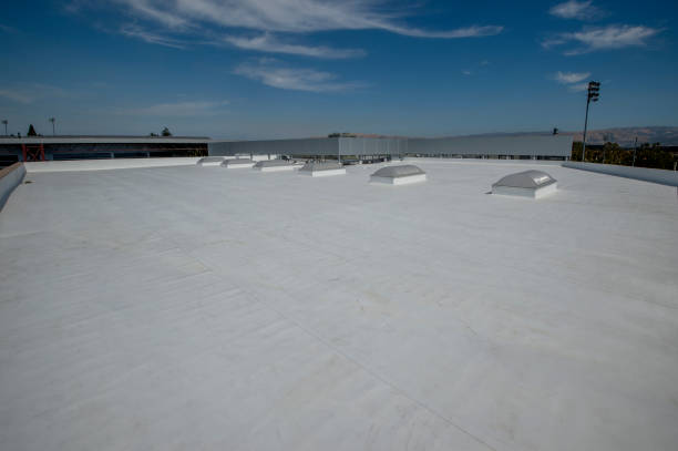 Best Sheet Metal Roofing  in Sandusky, OH